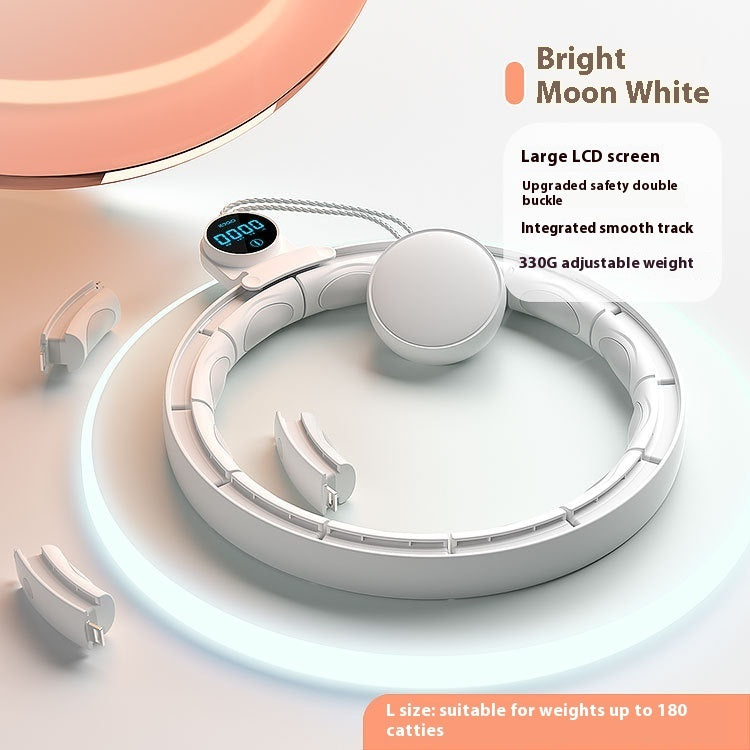 Intelligent Digital Weight-bearing Fitness Equipment