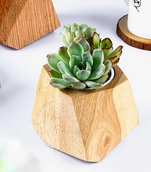 Samll HEX Wooden Flowerpot