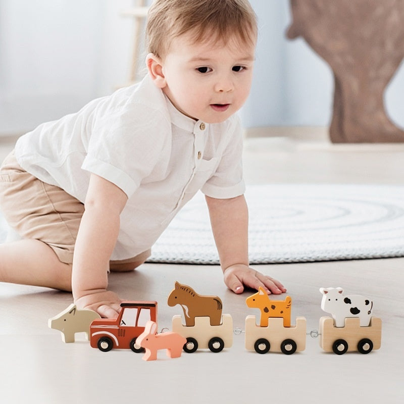 Children's Wooden Stacking Cognitive Toys