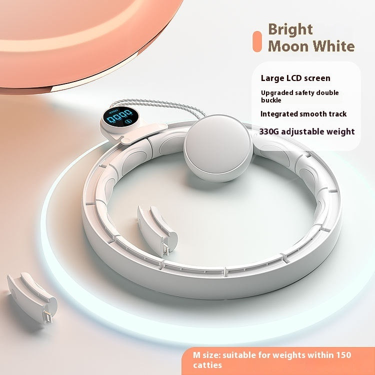 Intelligent Digital Weight-bearing Fitness Equipment