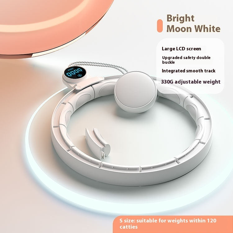 Intelligent Digital Weight-bearing Fitness Equipment