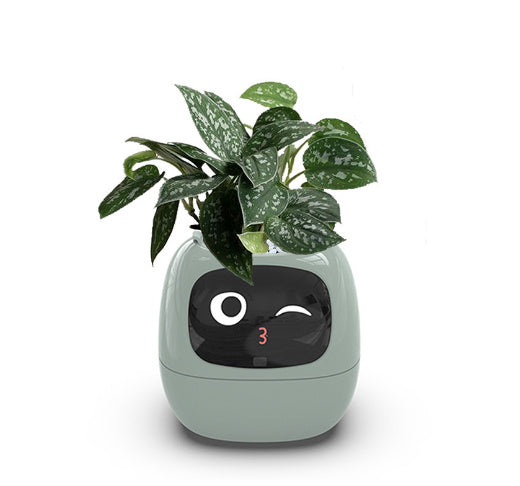 Smart Planter AI Pot