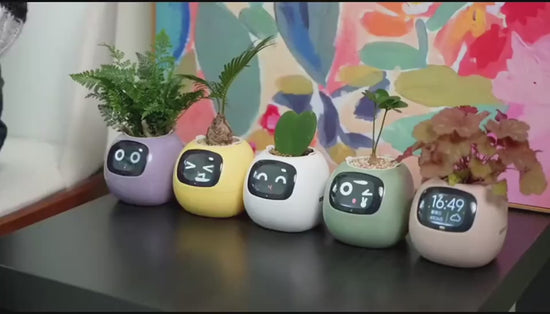 1Smart Planter AI Pot